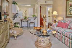 1 Bedroom, 1 Bath Deluxe (Living Room)