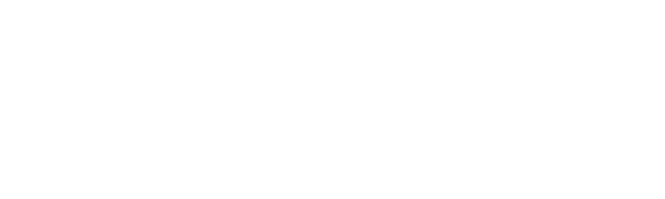 CNH Logo